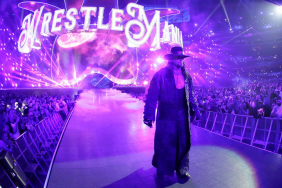 WWE Superstar The Undertaker